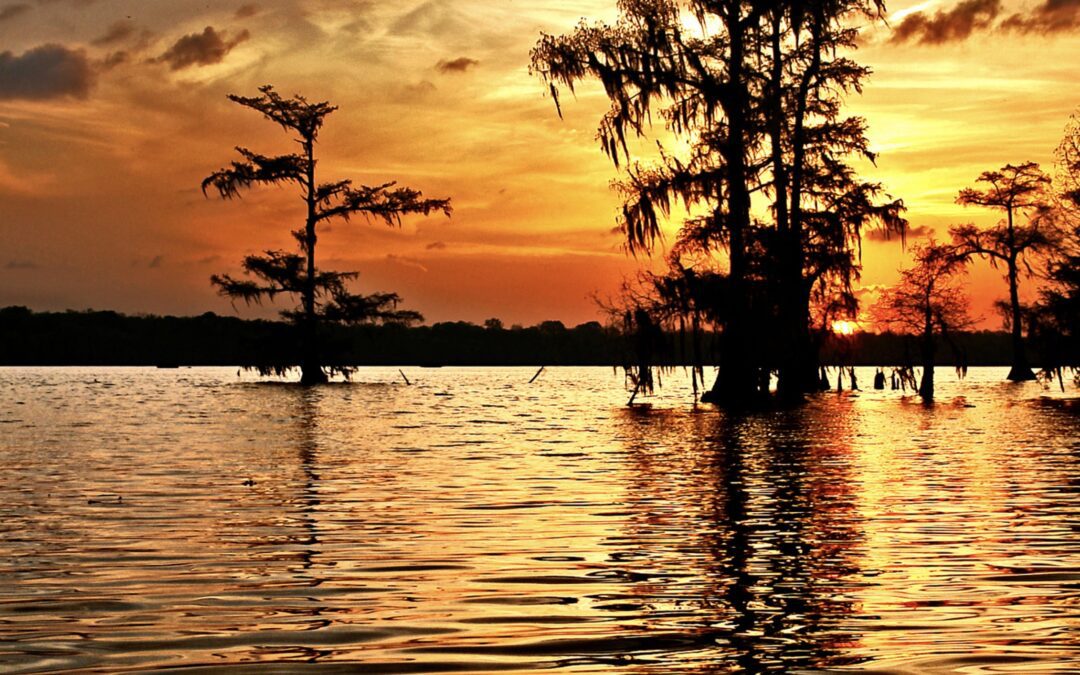 The Cajun Country’s Humble Beginnings